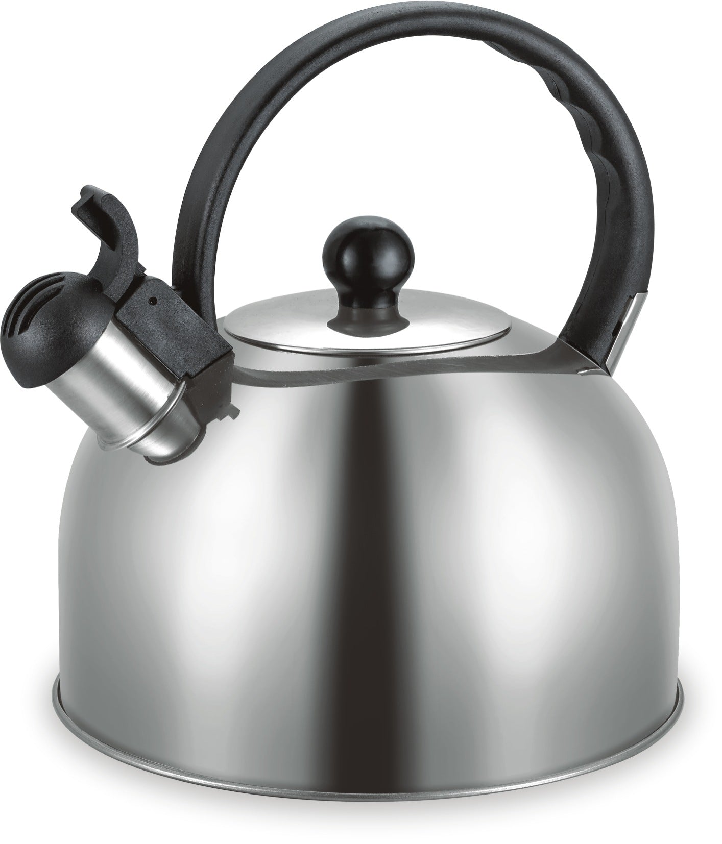 Stainless steel kettle