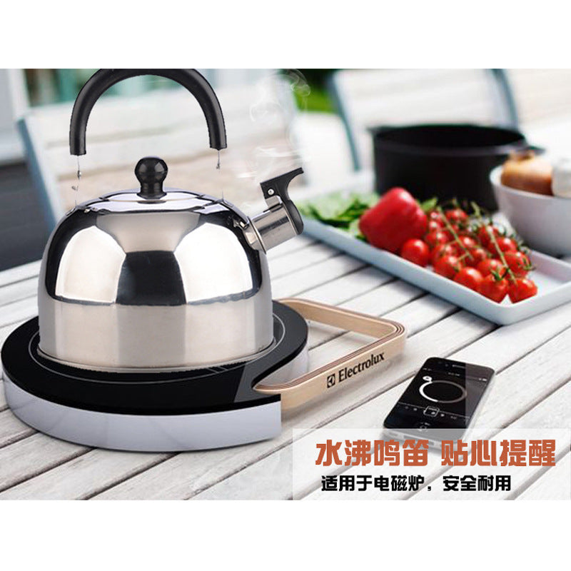 Non-magnetic stainless steel beeping kettle