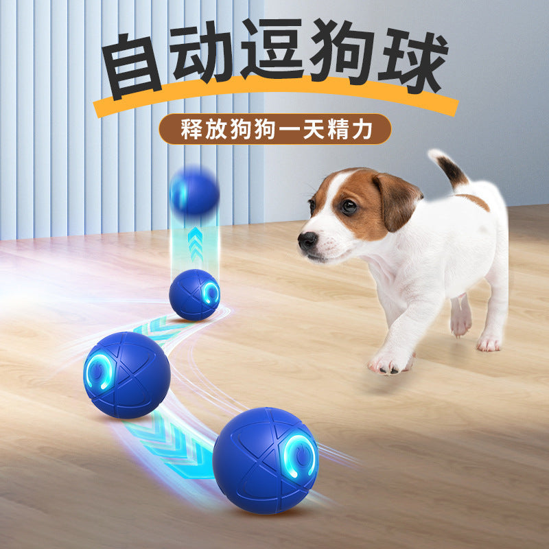 Jumping Ball Dog Toys Smart Funny Dog Wear-Resistant Self-Hilarious Boredom Artifact Companion Funny Cat Toys Anti-Demolition Home